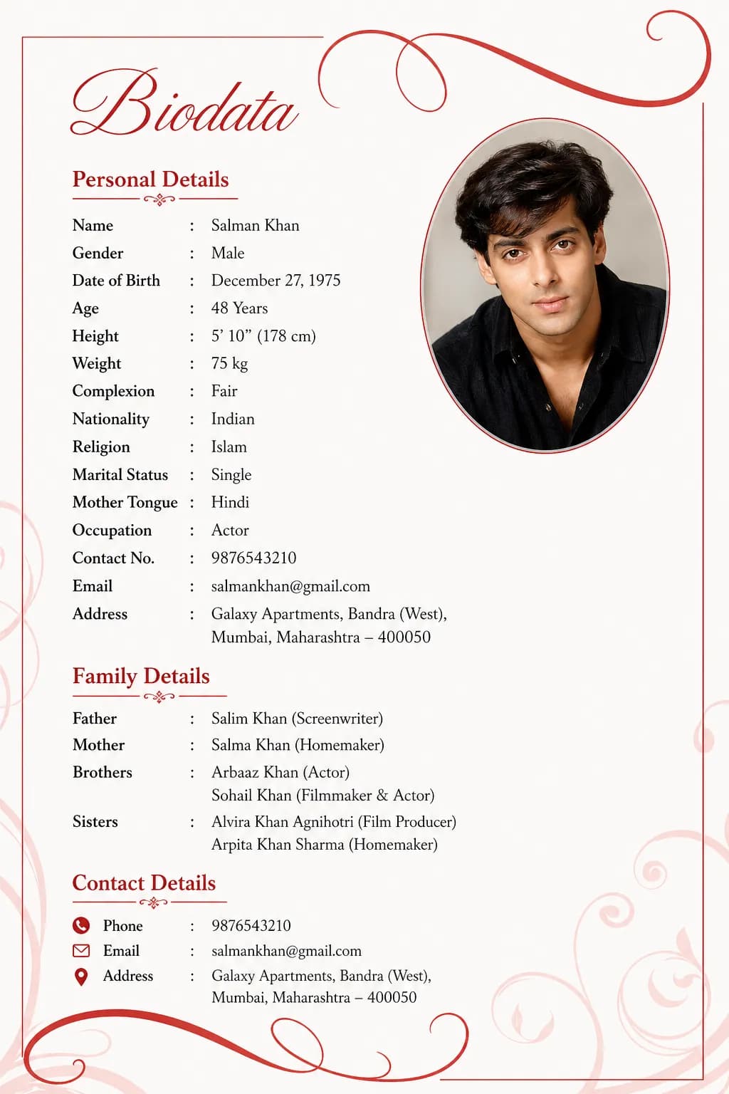 Beautiful Art Biodata Template